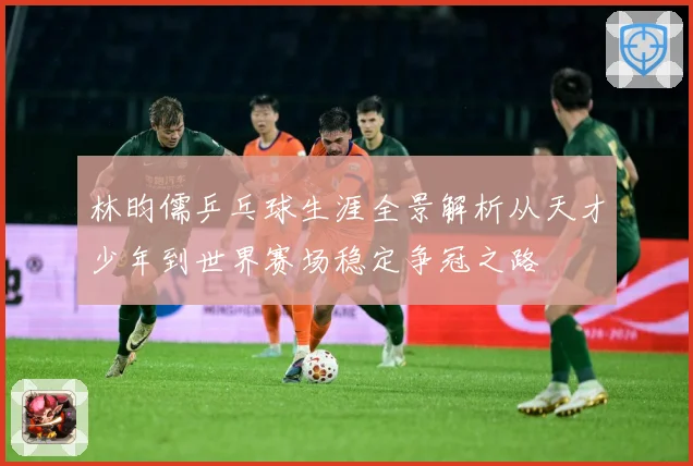 林昀儒乒乓球生涯全景解析从天才少年到世界赛场稳定争冠之路