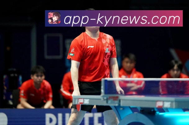 从天才少女到网球执教理念与战术体系解析